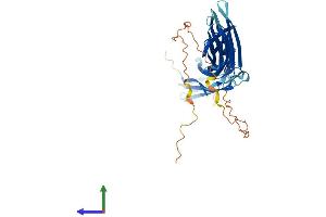 Protein Structure (PS) image for Thioredoxin Interacting Protein (TXNIP) (AA 1-391) protein (His tag) (ABIN7555882)