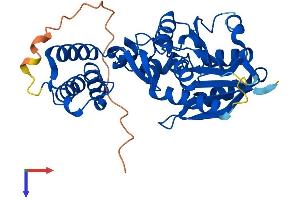 HEMK1 Protein (AA 1-340) (His tag)