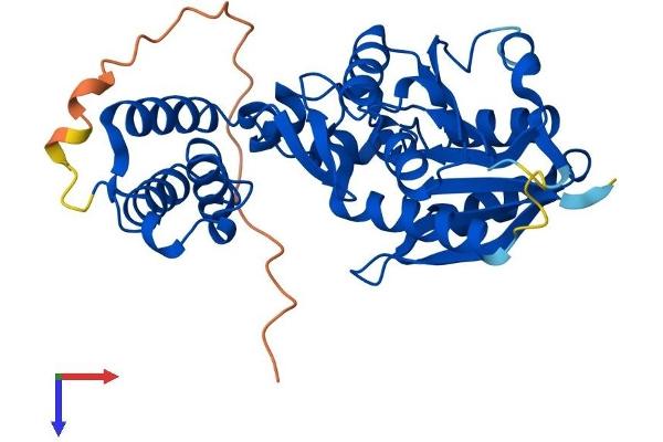 HEMK1 Protein (AA 1-340) (His tag)