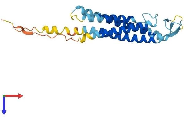 SSPN Protein (AA 1-216) (His tag)