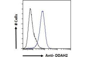ABIN184668 Flow cytometric analysis of paraformaldehyde fixed A431 cells (blue line), permeabilized with 0. (DDAH2 Antikörper  (C-Term))