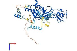 SNAPC3 Protein (AA 1-407) (His tag)