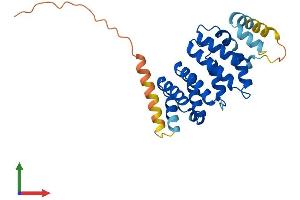 Protein Structure (PS) image for Maestro (MRO) (AA 1-248) protein (His tag) (ABIN7549544)