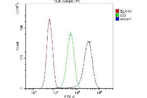 Flow Cytometry analysis of SIHA cells using anti-RRBP1 antibody (ABIN6719628). (RRBP1 Antikörper)