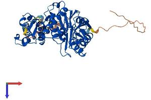 PPM1F Protein (AA 1-452) (His tag)