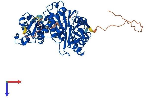 PPM1F Protein (AA 1-452) (His tag)