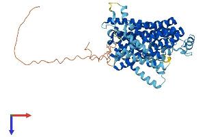 SLC11A2 Protein (AA 1-568) (His tag)