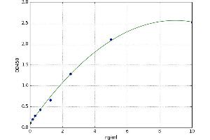 A typical standard curve