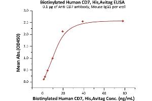 Immobilized Anti-CD7 antibody, Mouse IgG1 at 1 μg/mL (100 μL/well) can bind Biotinylated Human CD7, His,Avitag (ABIN6973016) with a linear range of 1-20 ng/mL (Routinely tested). (CD7 Protein (CD7) (AA 26-180) (His tag,AVI tag,Biotin))