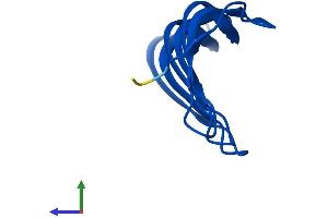 AlphaFold protein structure predicition of Mouse Recombinant Morn2 Protein, UniprotID Q6UL01