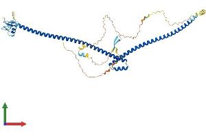 Protein Structure (PS) image for TRAF Interacting Protein (TRAIP) (AA 1-469) protein (His tag) (ABIN7544585)
