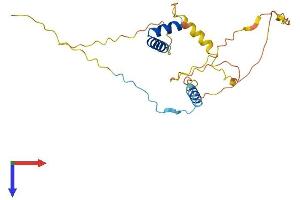 FRAT2 Protein (AA 1-233) (His tag)
