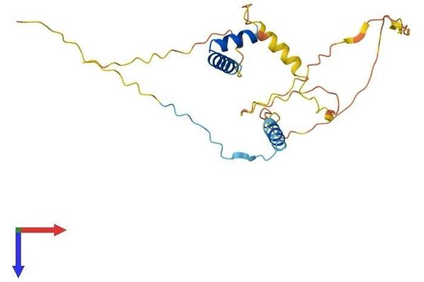 FRAT2 Protein (AA 1-233) (His tag)