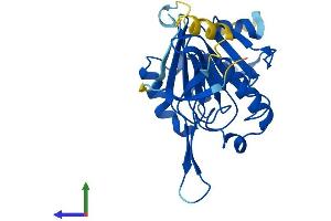 AlphaFold protein structure predicition of Mouse Recombinant Mblac1 Protein, UniprotID Q8BWY4