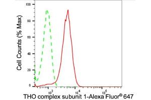 Flow cytometric analysis of THO complex subunit 1 expression in HepG2 cells using THO complex subunit 1 antibody (ABIN7800981), 1:2,000). (Rekombinanter THOC1 Antikörper)