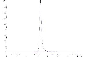 The purity of Mouse APOE/Apolipoprotein E is greater than 95 % as determined by SEC-HPLC. (APOE Protein (AA 19-311) (Fc Tag))