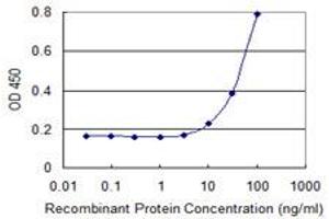 Detection limit for recombinant GST tagged SIN3B is 3 ng/ml as a capture antibody. (SIN3B Antikörper  (AA 1063-1160))