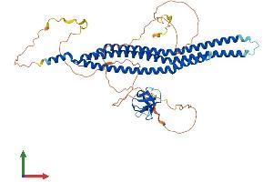 Protein Structure (PS) image for BAI1-Associated Protein 2 (BAIAP2) (AA 1-535) protein (His tag) (ABIN7564381)