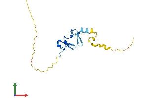Protein Structure (PS) image for LIM Domain Containing 2 (LIMD2) (AA 1-128) protein (His tag) (ABIN7558541)