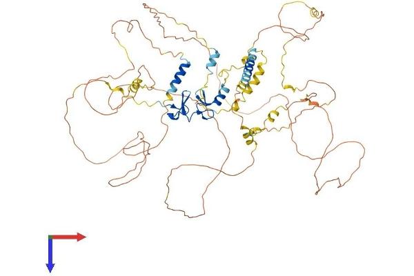 LIMA1 Protein (AA 1-759) (His tag)