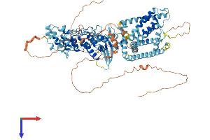 TRPV4 Protein (AA 1-871) (His tag)