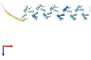 AlphaFold protein structure predicition of Human Recombinant ZNF493 Protein, UniprotID Q6ZR52