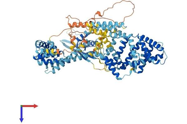 SNX25 Protein (AA 1-840) (His tag)