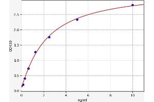 CCR6 ELISA Kit