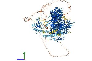 Protein Structure (PS) image for MutS Homolog 6 (E. Coli) (MSH6) (AA 1-1358) protein (His tag) (ABIN7563446)