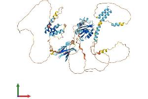 Protein Structure (PS) image for B-Cell Scaffold Protein with Ankyrin Repeats 1 (BANK1) (AA 1-785) protein (His tag) (ABIN7552722)