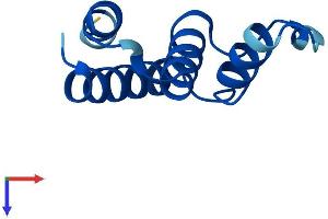 ACBD7 Protein (AA 1-88) (Fc Tag)