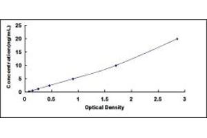 Typical standard curve (K-RAS ELISA Kit)