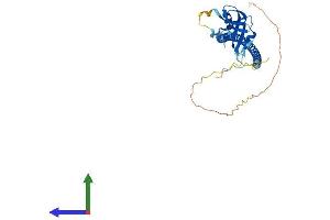 Protein Structure (PS) image for CD72 Molecule (CD72) (AA 1-354) protein (His tag) (ABIN7562962)