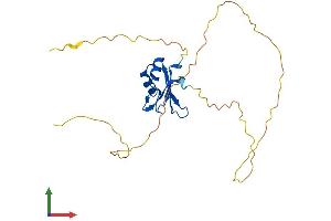 Protein Structure (PS) image for RNA Binding Motif Protein 38 (RBM38) (AA 1-237) protein (His tag) (ABIN7557765)