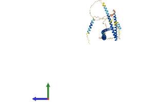 Protein Structure (PS) image for Centrosomal Protein 57kDa (CEP57) (AA 1-500) protein (His tag) (ABIN7553351)