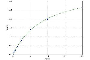 Parvalbumin (PVALB) ELISA Kit