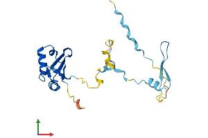 Protein Structure (PS) image for Regulator of Calcineurin 2 (RCAN2) (AA 1-197) protein (His tag) (ABIN7551192)