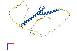 Neurogenin 3 Protein (NEUROG3) (AA 1-214) (His tag)