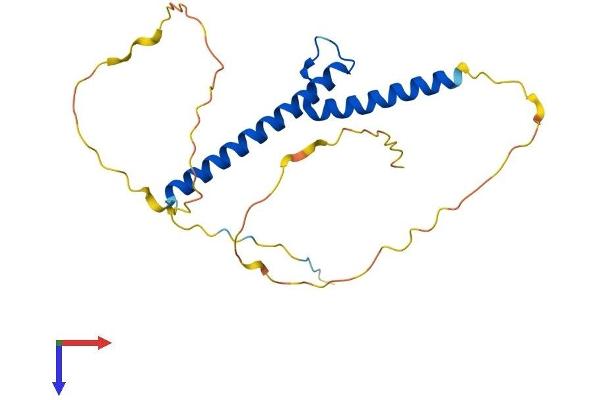Neurogenin 3 Protein (NEUROG3) (AA 1-214) (His tag)