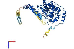 TPST1 Protein (AA 1-370) (His tag)