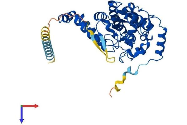 TPST1 Protein (AA 1-370) (His tag)