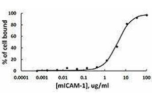 ELISA image for Intercellular Adhesion Molecule 1 (ICAM1) (AA 28-485), (C-Term) (Active) protein (Fc Tag) (ABIN2666825) (ICAM1 Protein (AA 28-485, C-Term) (Fc Tag))