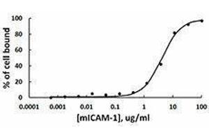 ELISA image for Intercellular Adhesion Molecule 1 (ICAM1) (AA 28-485), (C-Term) (Active) protein (Fc Tag) (ABIN2666825)