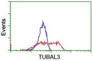 Flow Cytometry (FACS) image for anti-Tubulin, alpha-Like 3 (TUBAL3) (AA 150-446) antibody (ABIN1490957) (TUBAL3 Antikörper  (AA 150-446))