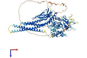 STAT2 Protein (AA 1-851) (His tag)
