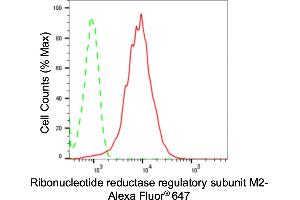 Flow cytometric analysis of ribonucleotide reductase regulatory subunit M2 expression in HepG2 cells using ribonucleotide reductase regulatory subunit M2 antibody (ABIN7800213), 1:2,000).