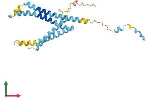 Protein Structure (PS) image for Lysosomal Protein Transmembrane 4 alpha (LAPTM4A) (AA 1-233) protein (His tag) (ABIN7548848)