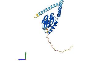 Protein Structure (PS) image for Thioredoxin Domain Containing 9 (TXNDC9) (AA 1-226) protein (His tag) (ABIN7560516)