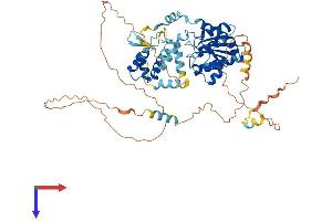 ORC2 Protein (AA 1-576) (His tag)