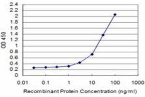 Detection limit for recombinant GST tagged SMAD3 is approximately 1ng/ml as a capture antibody. (SMAD3 Antikörper  (AA 1-110))